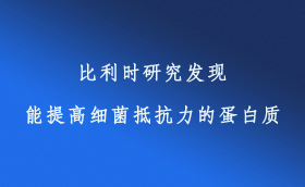 比利時研究發(fā)現(xiàn)能提高細菌抵抗力的蛋白質